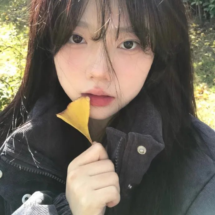江照黎明