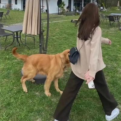 乐在旅途第二季